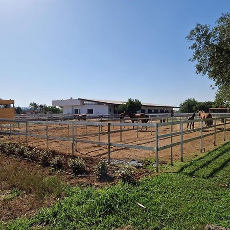 Tenuta La Baronessa Resort Tuglie Esterno foto