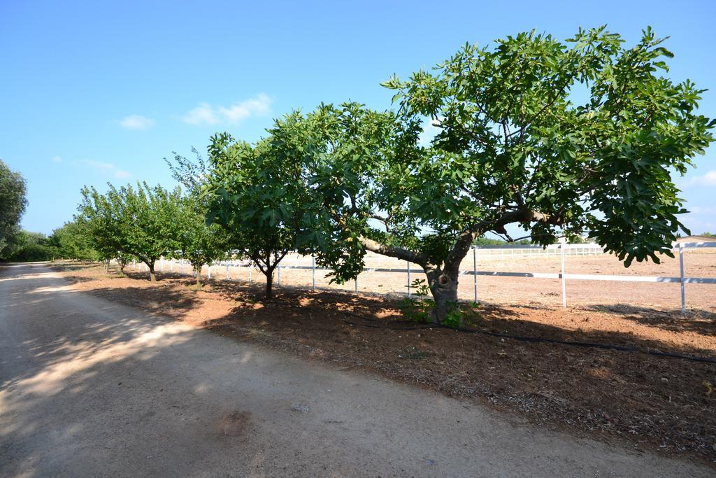 Tenuta La Baronessa Resort Tuglie Esterno foto