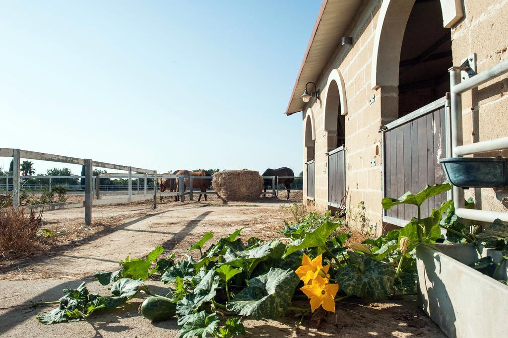 Tenuta La Baronessa Resort Tuglie Esterno foto